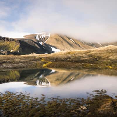 Teistberget, Svalbard & Jan Mayen Islands