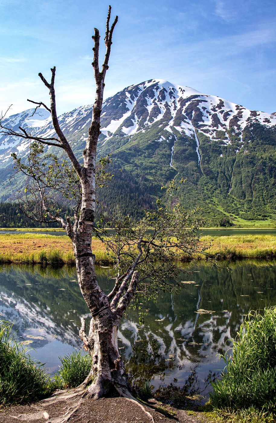 Tern Lake, Kenai Peninsula, Alaska, USA