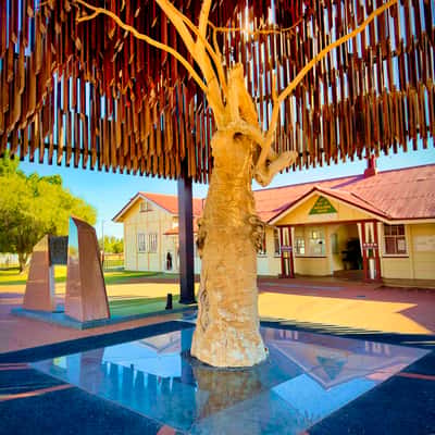 The Tree of Knowledge, Barcaldine, Outback Queensland., Australia