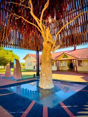 The Tree of Knowledge, Barcaldine, Outback Queensland.