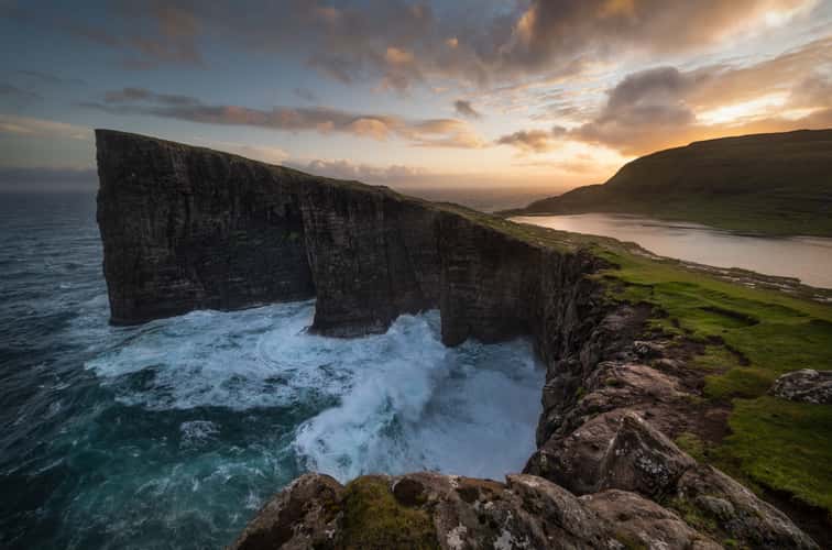 Trælanípa