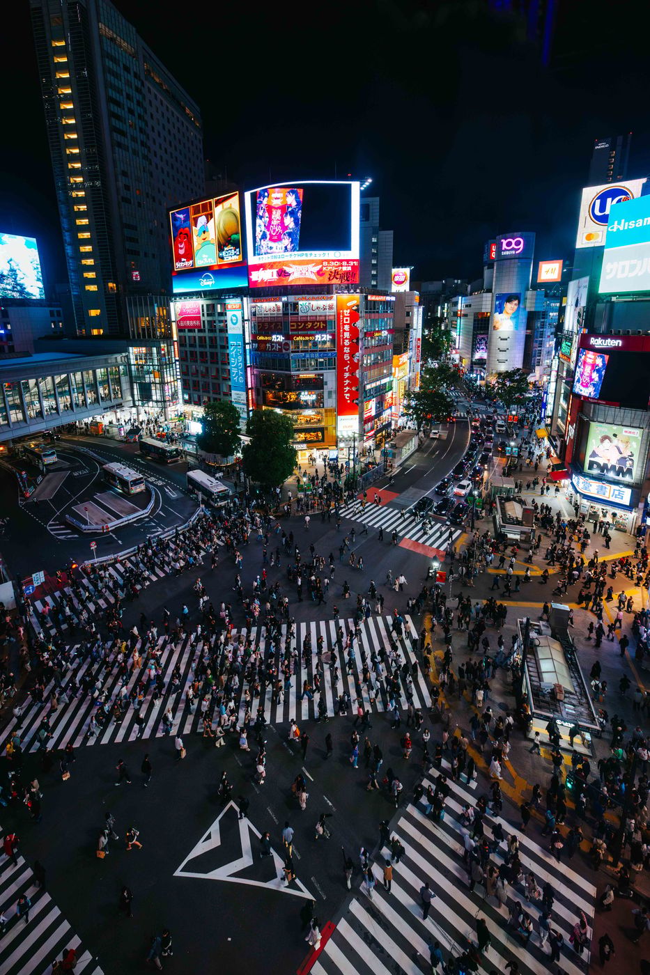 View from Magnet Bar Shibuya, Tokyo, Japan