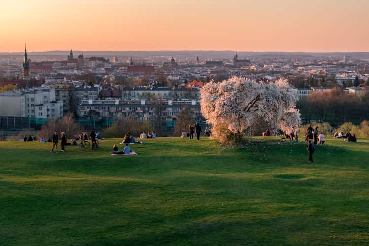 View on Kraków