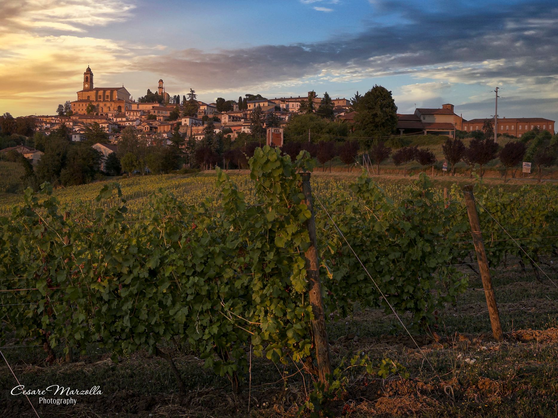 Monferrato - Italy, Italy
