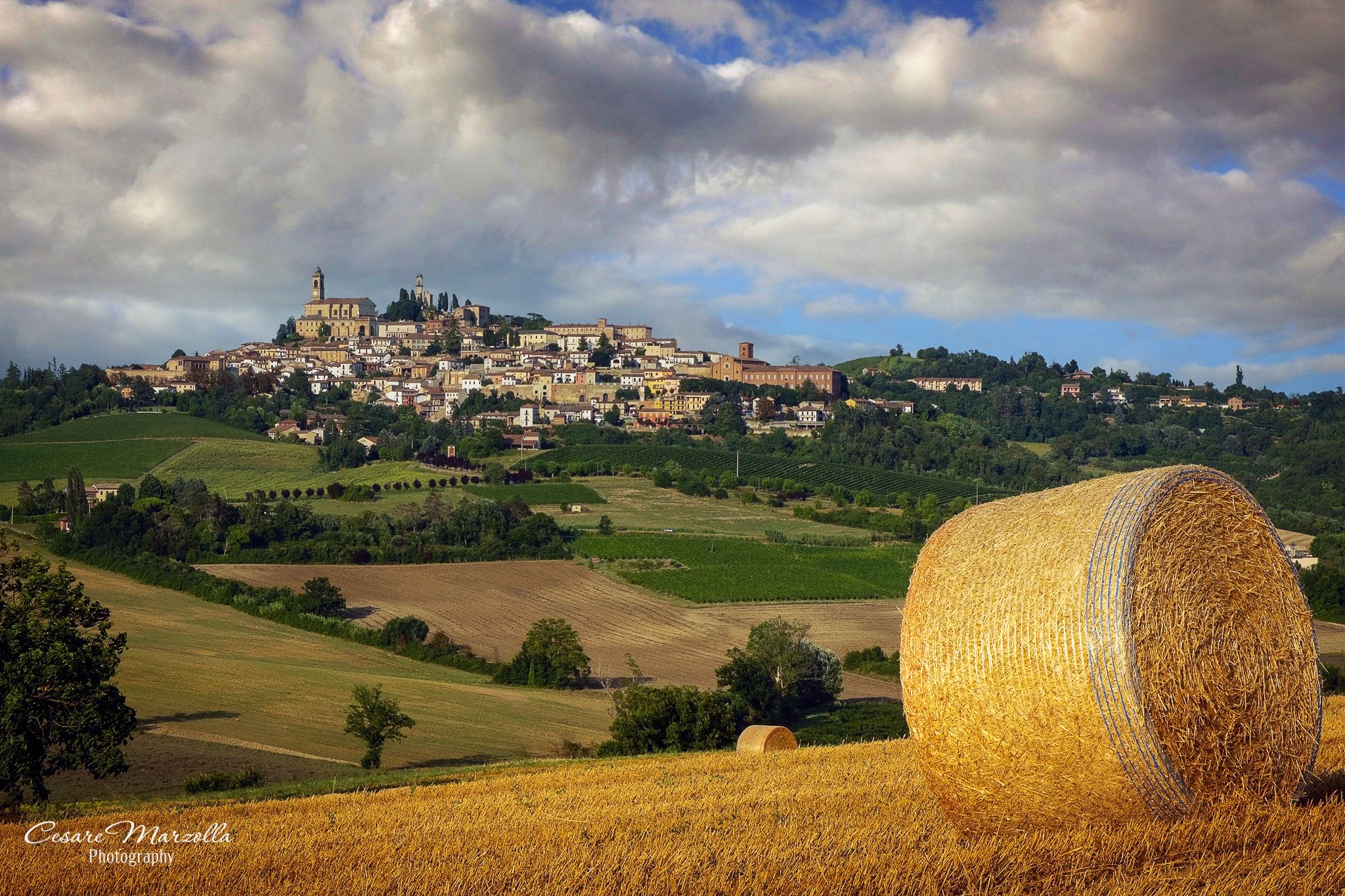 Vignale Monferrato - Italy, Italy