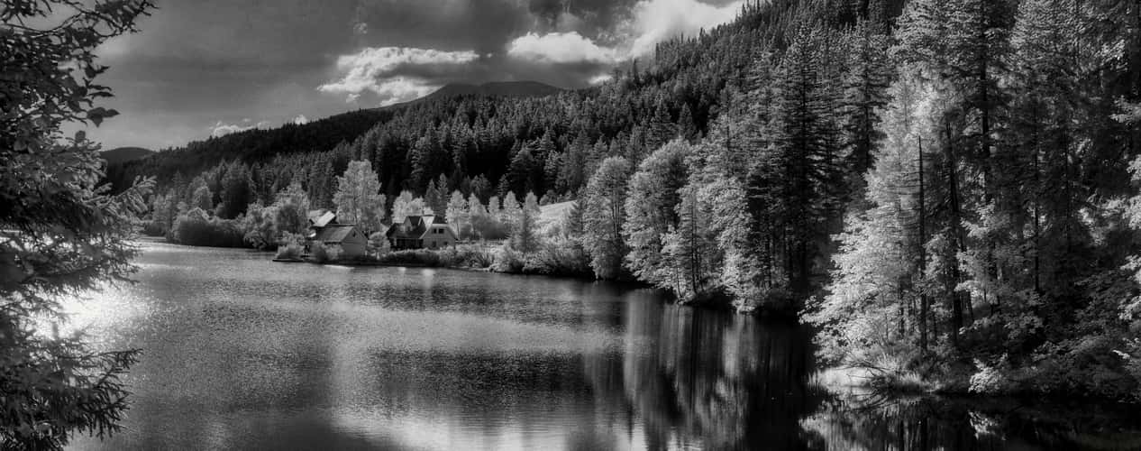 Walster
