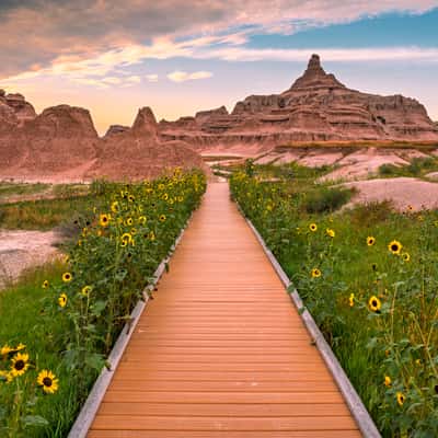 Window Trail, USA