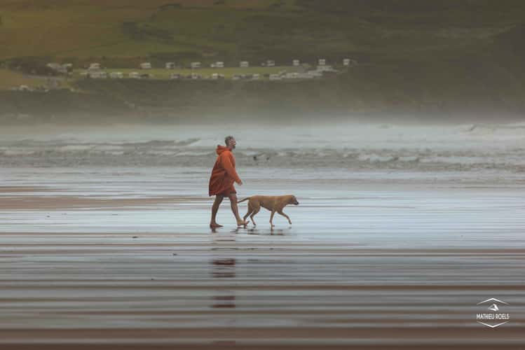 Windy beach