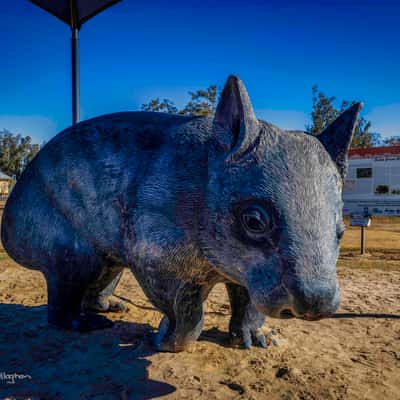 Wombat Statue Thallon, Queensland, Australia
