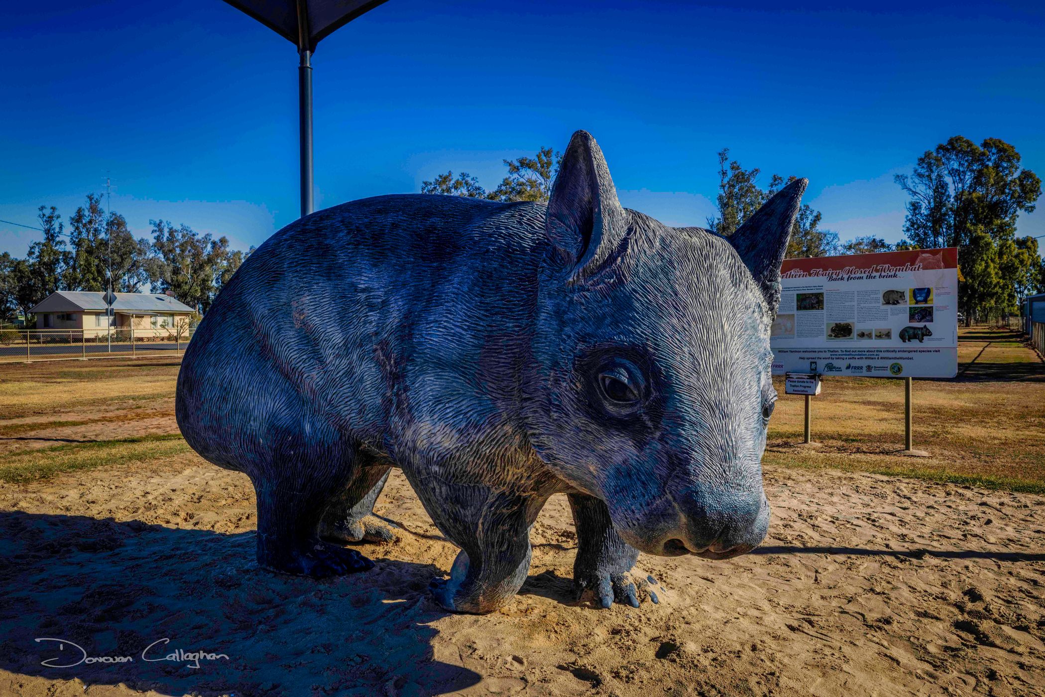 Wombat Statue Thallon, Queensland, Australia
