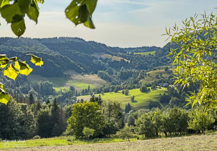 Zázrivá