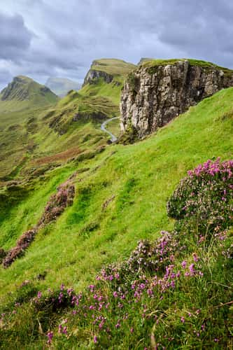 A solitary bush overlooking the Quiraing Road