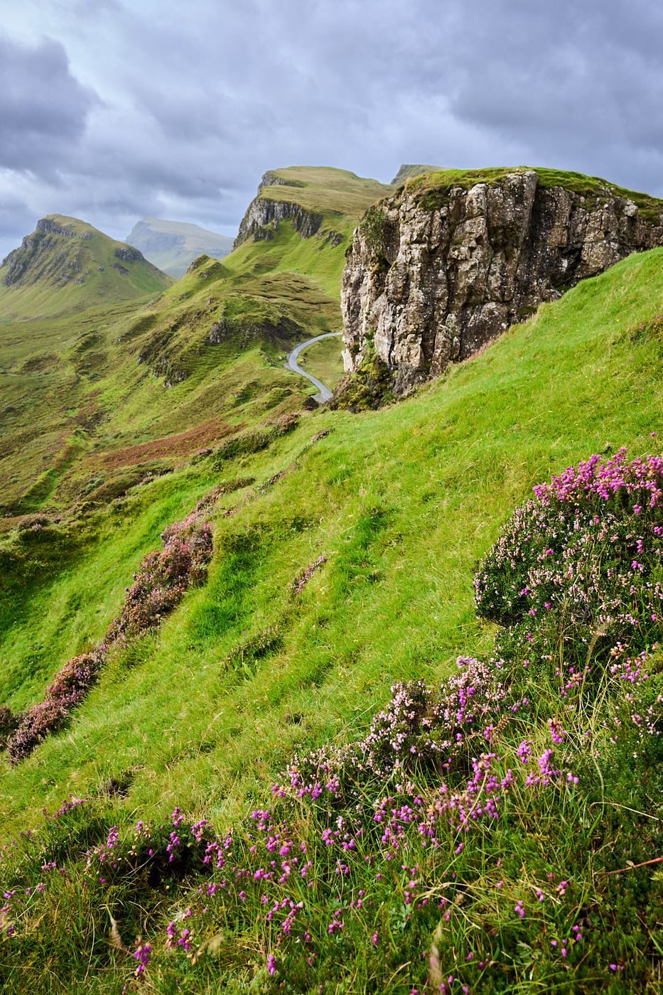 A solitary bush overlooking the Quiraing Road, United Kingdom