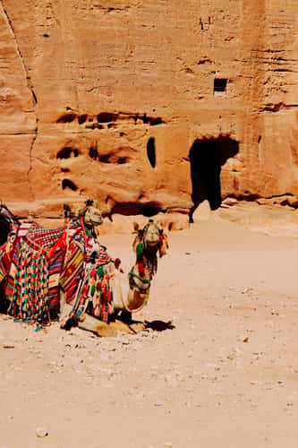 Al-Siq Petra