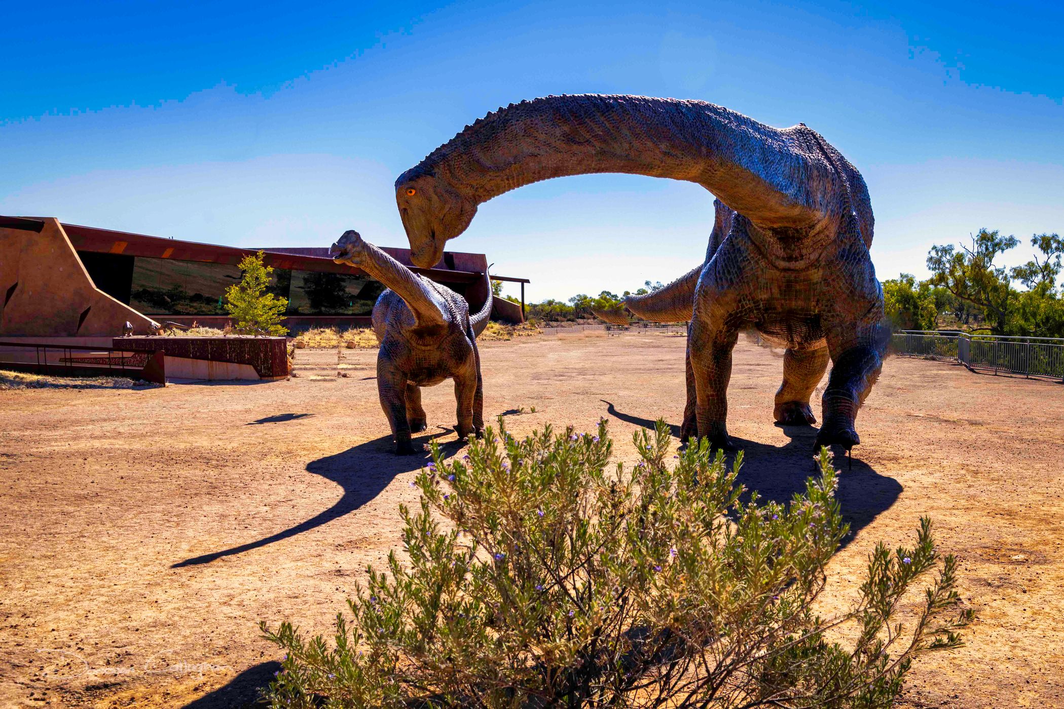 Australian Age of Dinosaurs, Winton, Queensland, Australia
