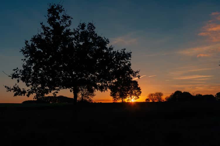 Badenstedt, Zeven