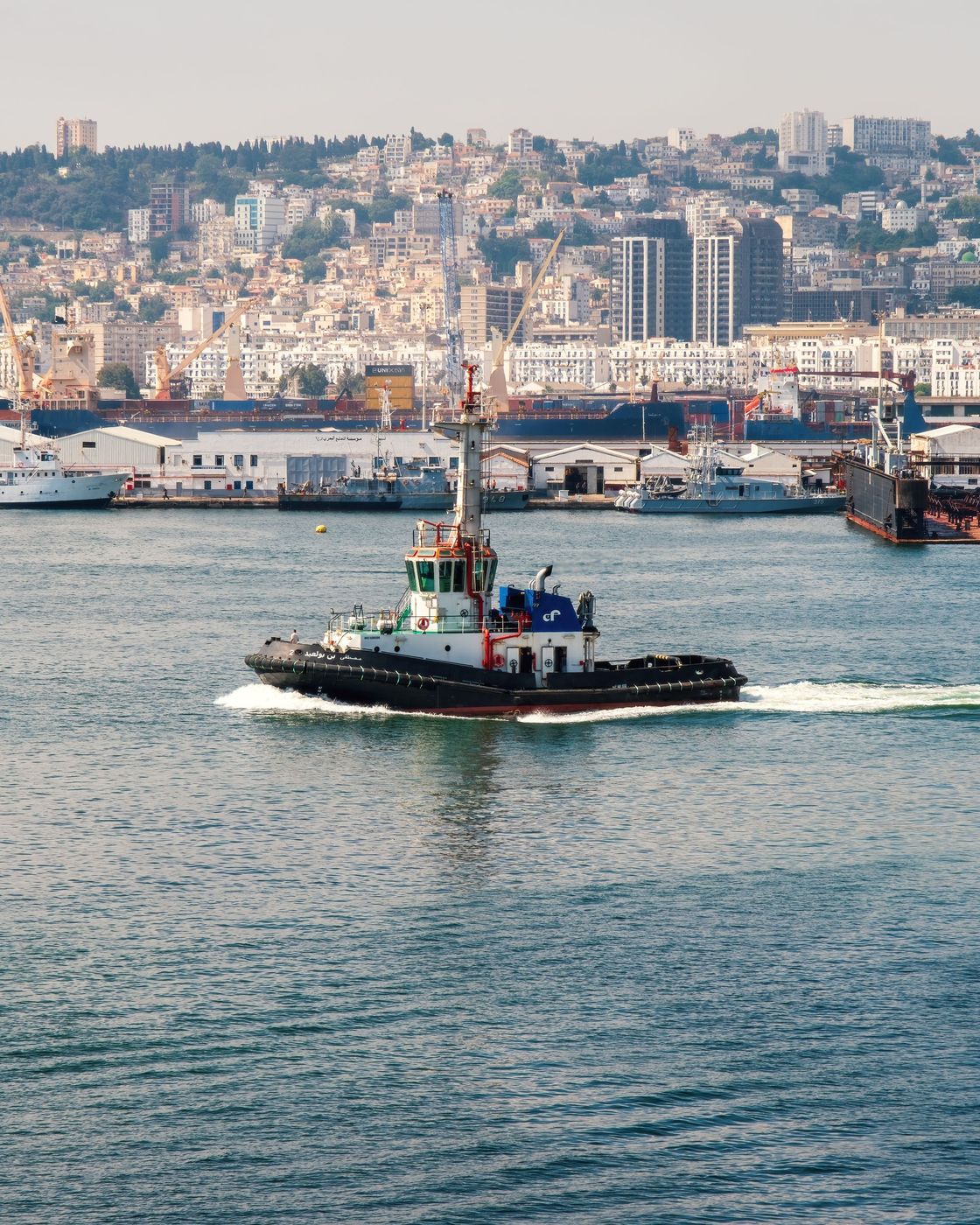Bay of Algiers, Algeria, Algeria