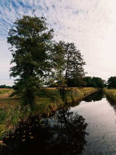 Bremen's Blockland