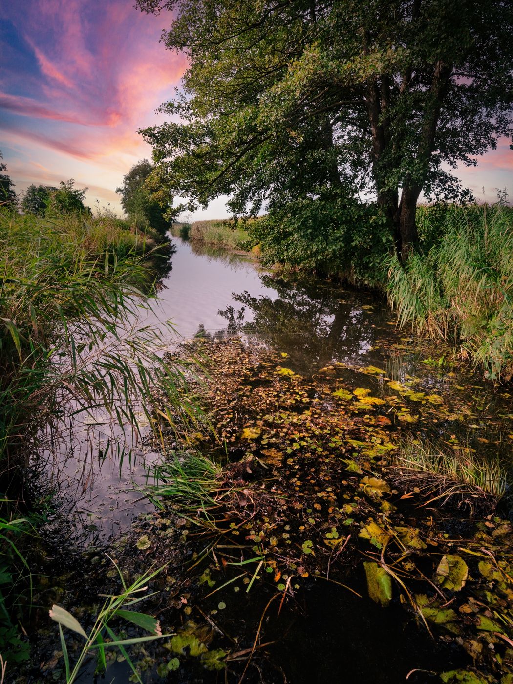 Bremen's Blockland, Germany