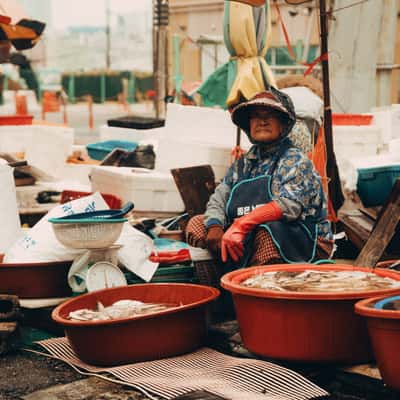 Busan fish market, South Korea
