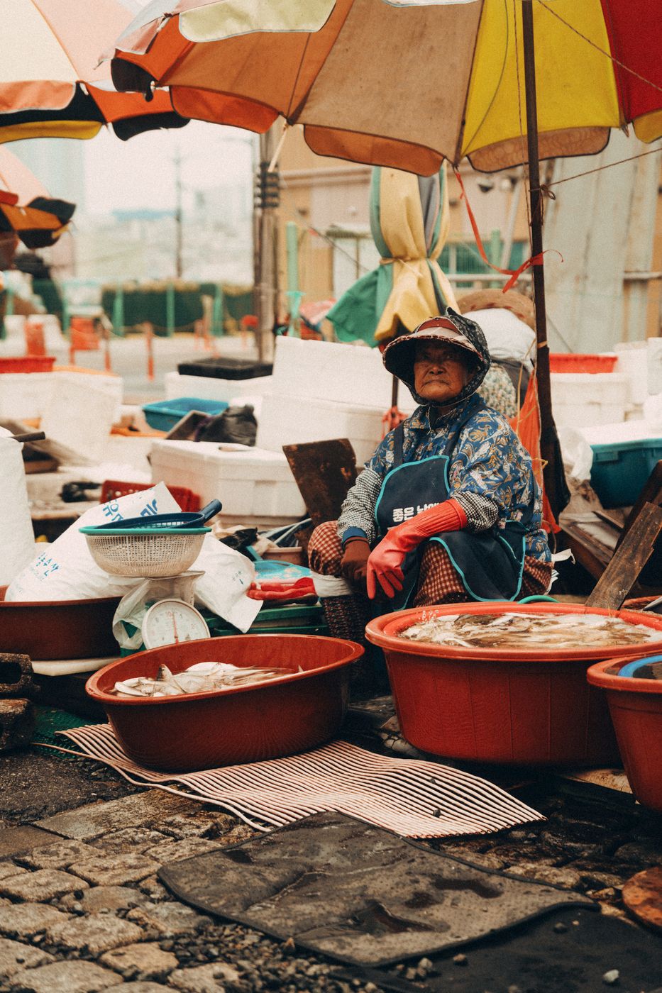 Busan fish market, South Korea