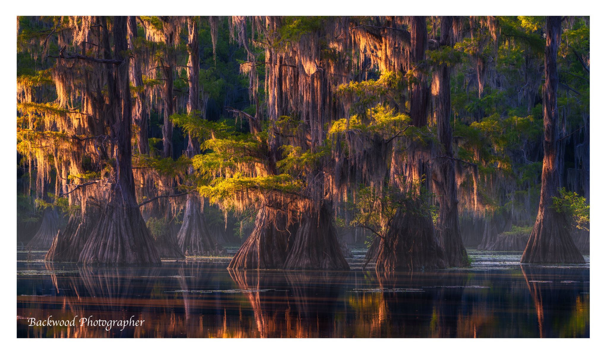 Caddo Lake, USA