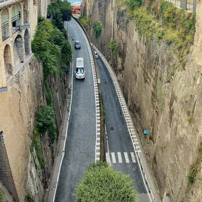 City snake, Italy