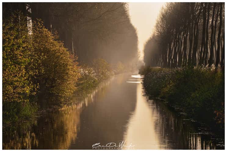 Damse vaart in black and white