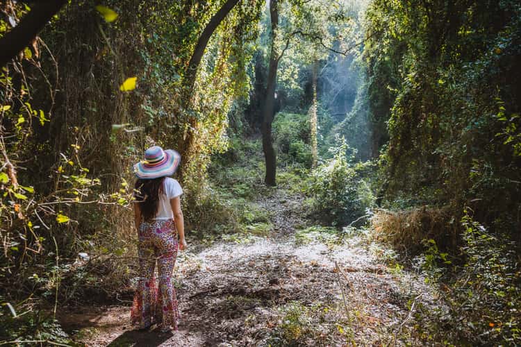 Fairy Forest in Beit Oren