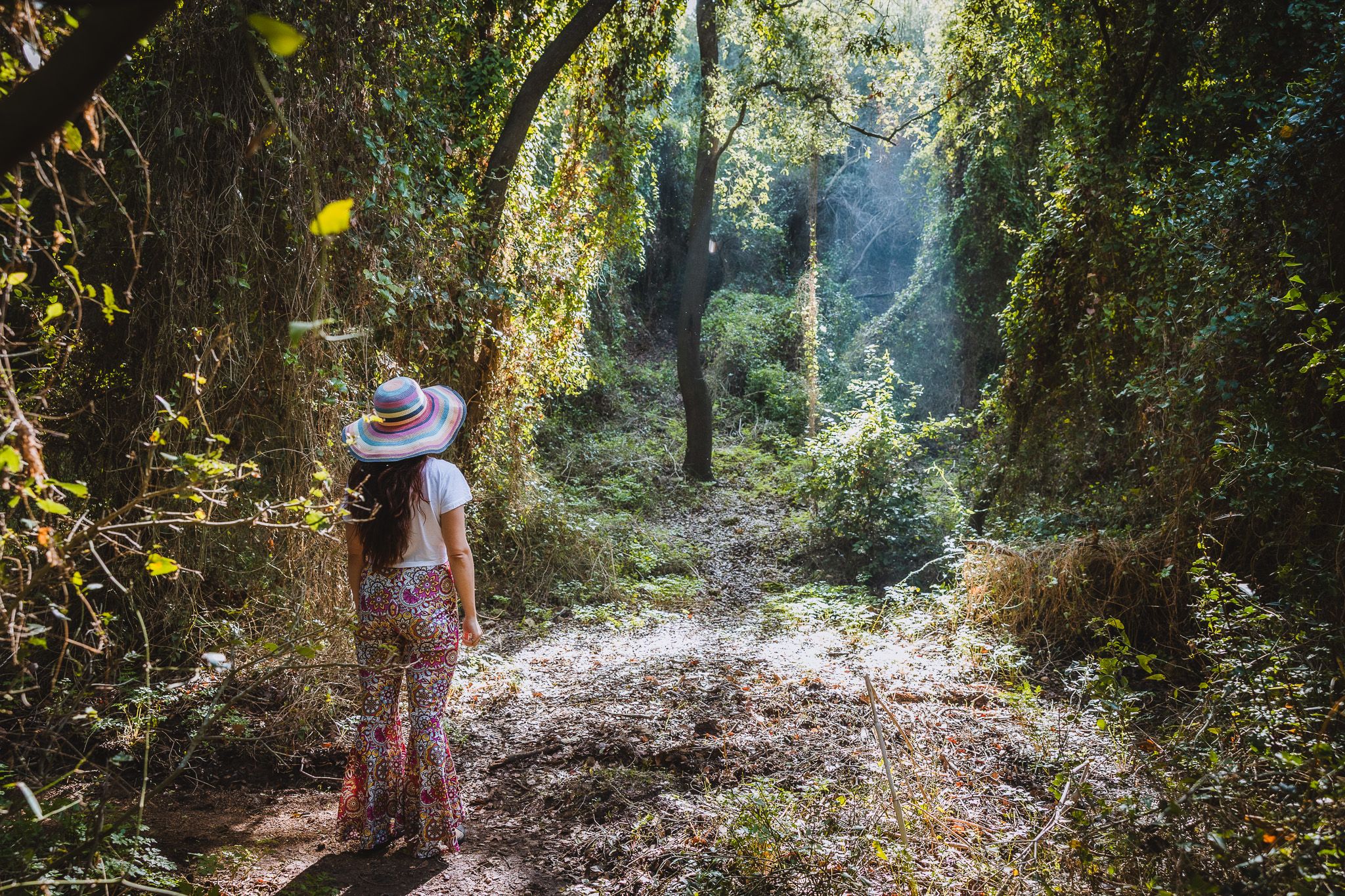 Fairy Forest in Beit Oren, Israel