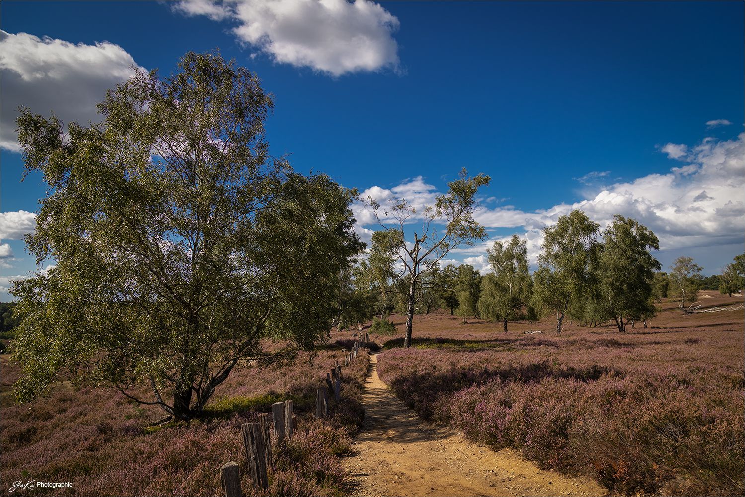 Fischbeker Heide, Germany