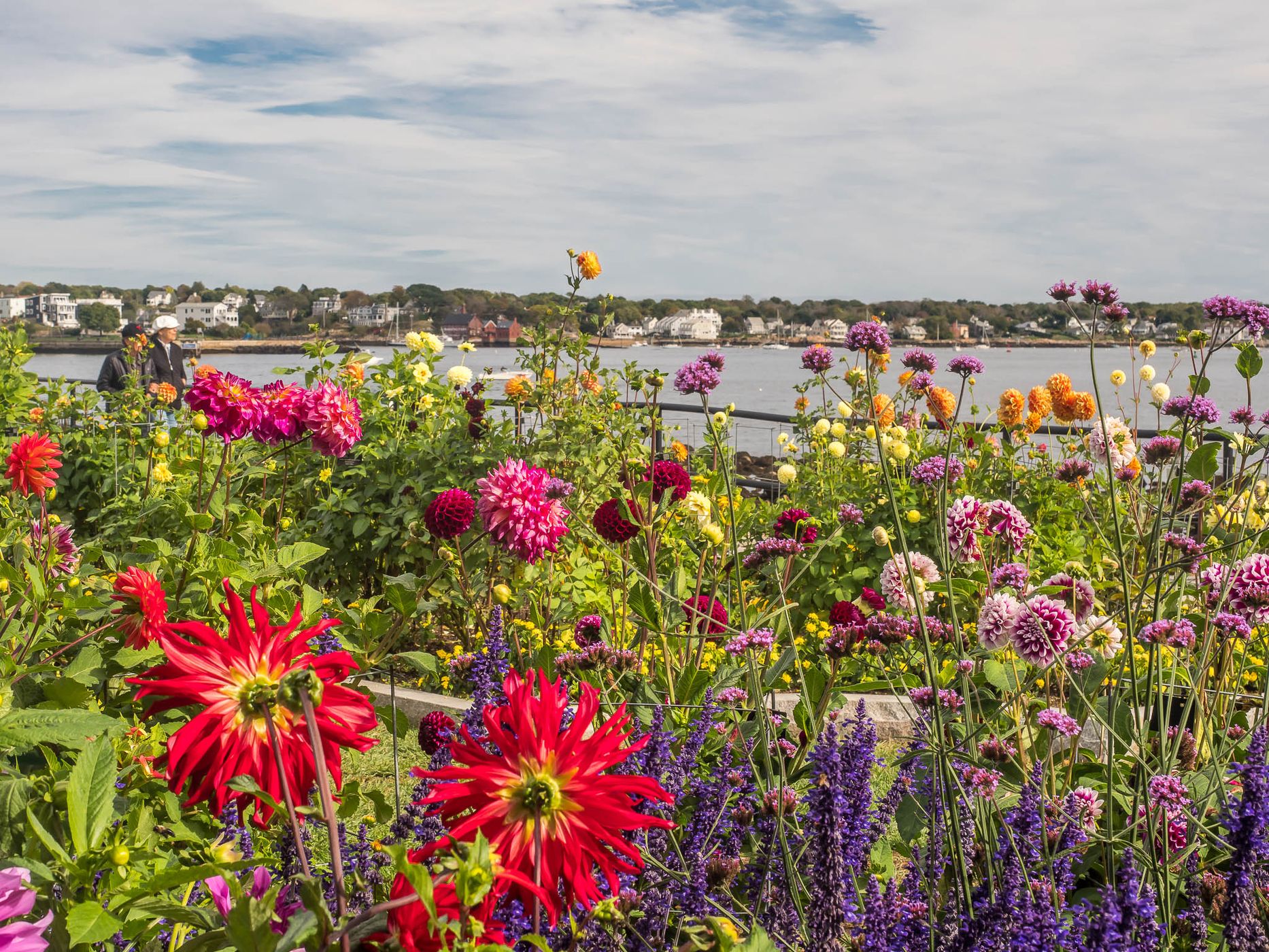 Gloucester Water Front, USA