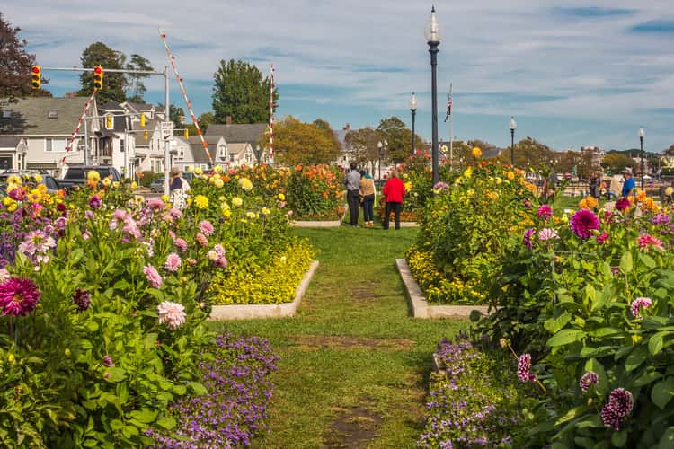 Gloucester Water Front