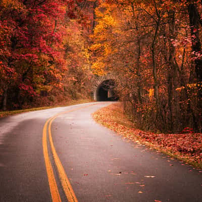 Grassy Knob Tunnel – Blue Ridge Parkway, USA