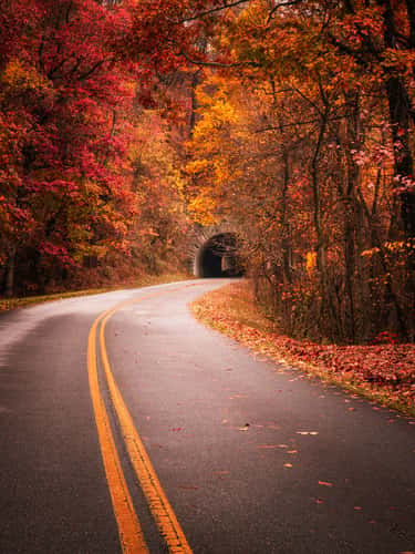 Grassy Knob Tunnel – Blue Ridge Parkway