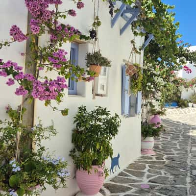 Guesthouse in Prodromos, Paros, Greece