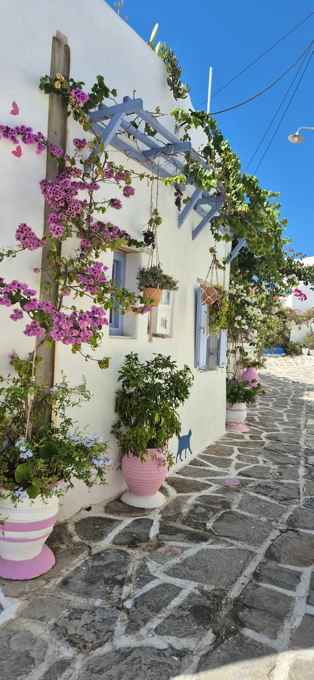 Guesthouse in Prodromos, Paros, Greece