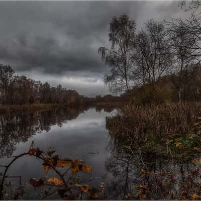 Hasenmoor, Germany