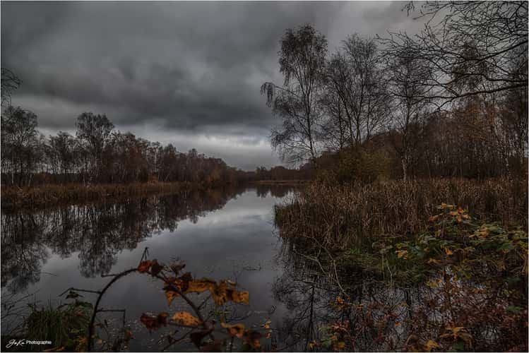 Hasenmoor