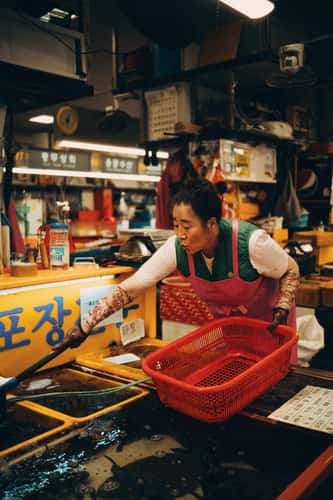 Jagalchi Fish Market