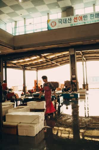 Jagalchi Fish Market