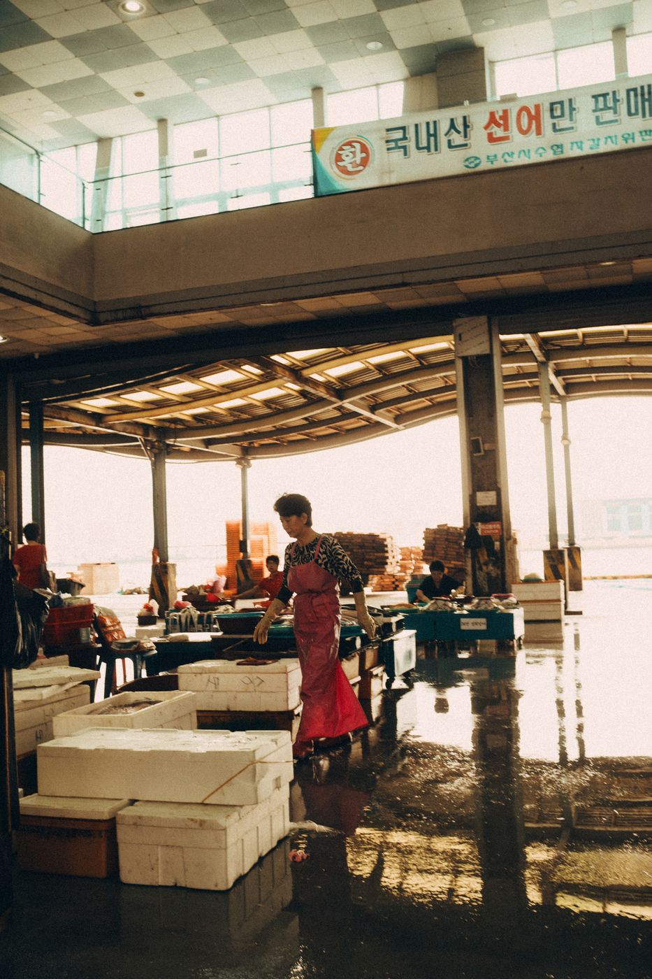 Jagalchi Fish Market, South Korea