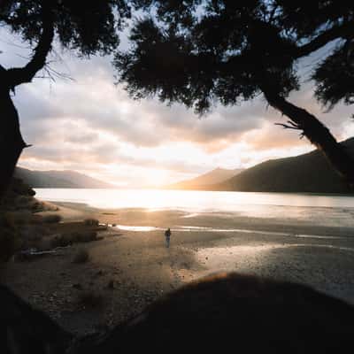 Kenepuru Head Campsite, New Zealand