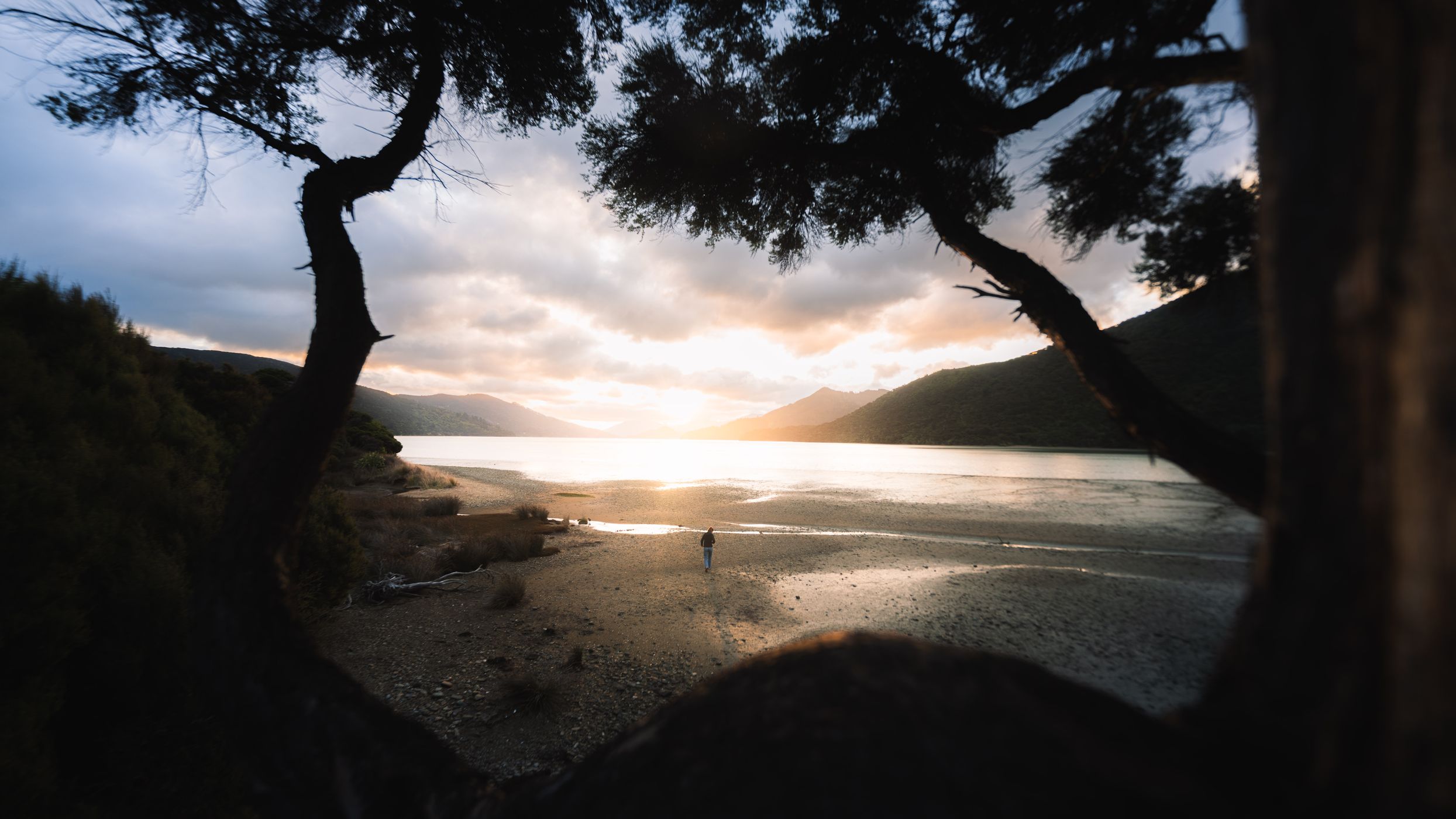 Kenepuru Head Campsite, New Zealand