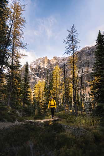 Lake O´ hara larch plateau hike