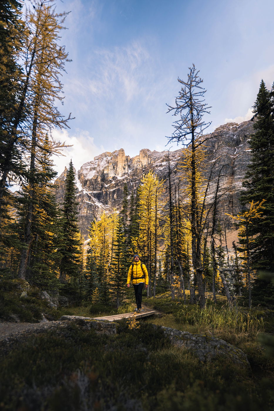 Lake O´ hara larch plateau hike, Canada