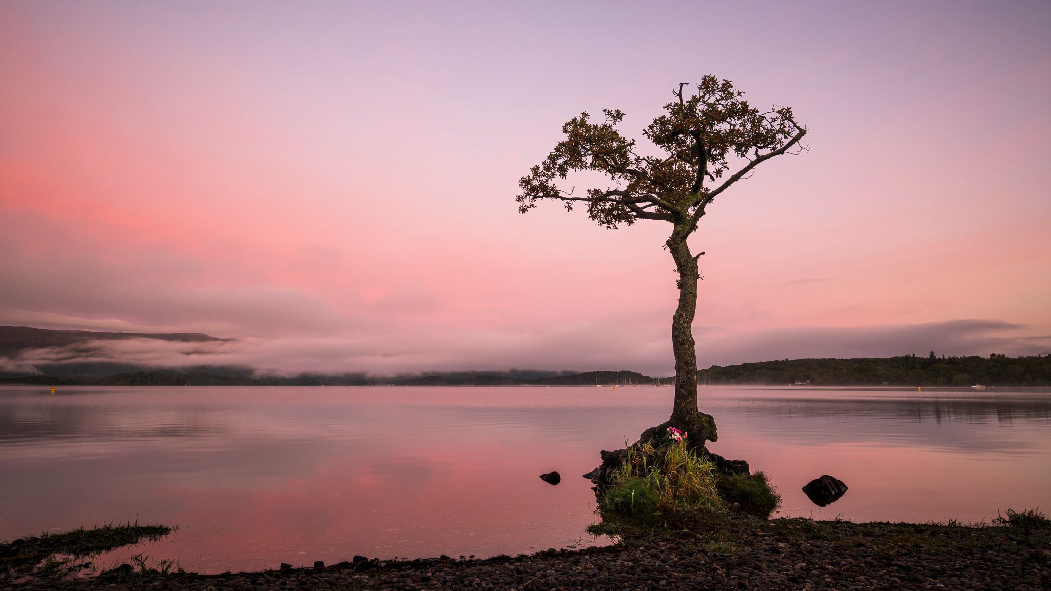 Milarrochy Bay - Loch Lomond, United Kingdom