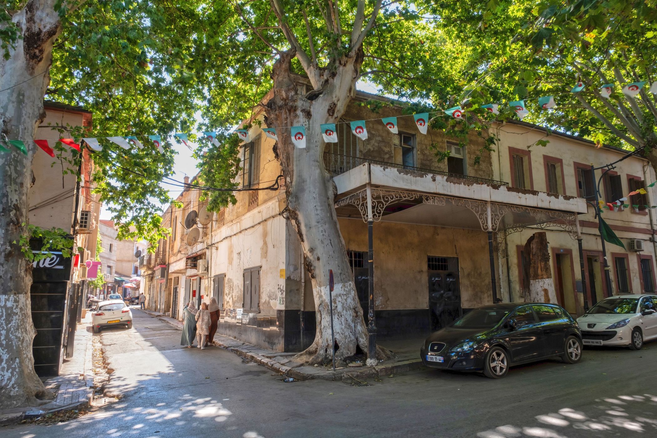 Miliana, Algeria, Algeria