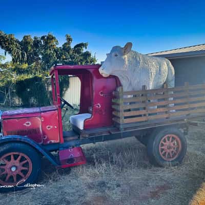 Model bull on truck, Longreach, Queensland, Australia