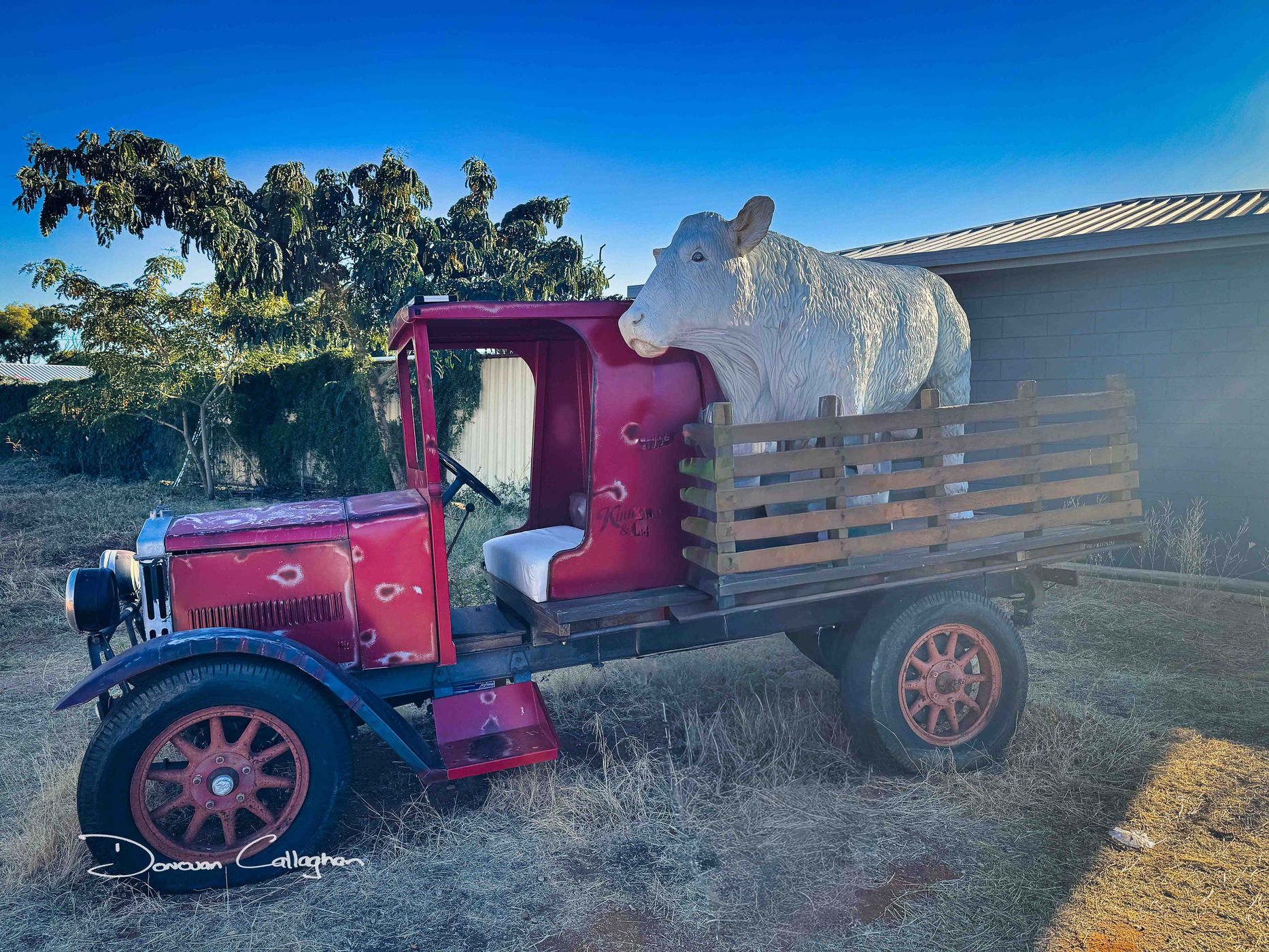 Model bull on truck, Longreach, Queensland, Australia